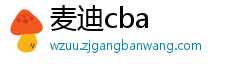 麦迪cba